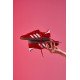 Кросівки Adidas Spezial Red White