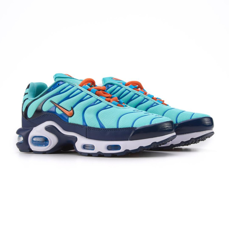 Кросівки Nike Air Max Plus Discover Your Air
