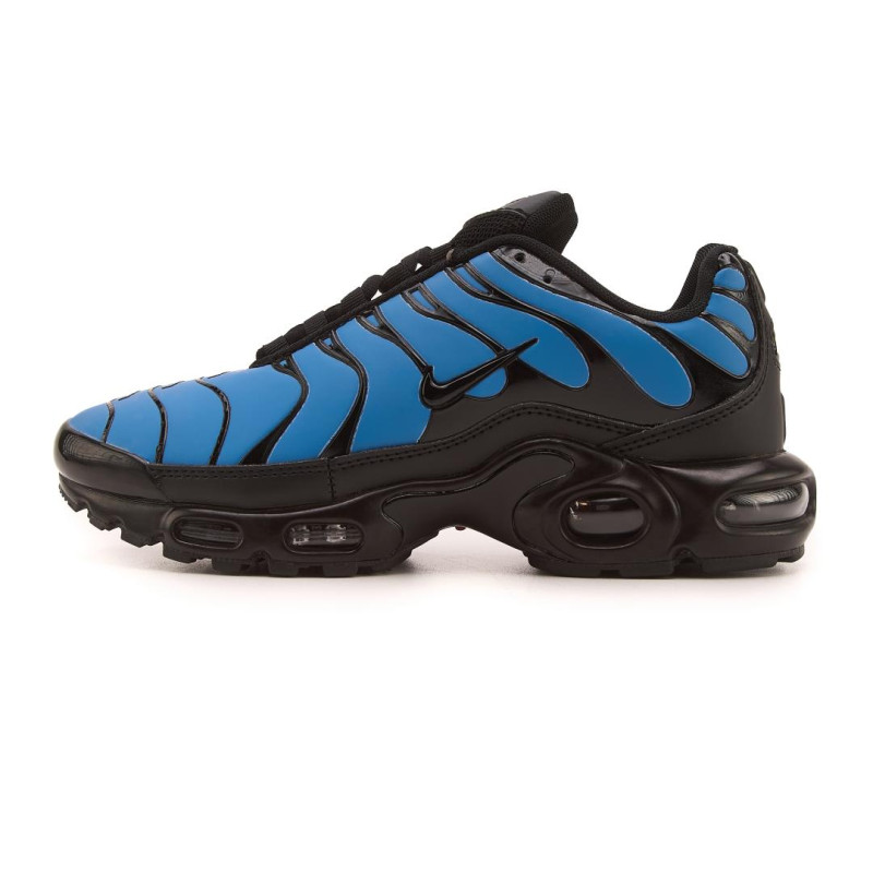 Кросівки Nike Air Max TN Plus Chameleon Blue