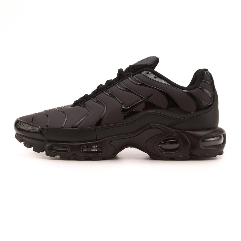 Кросівки Nike Air Max TN Plus Chameleon Blue