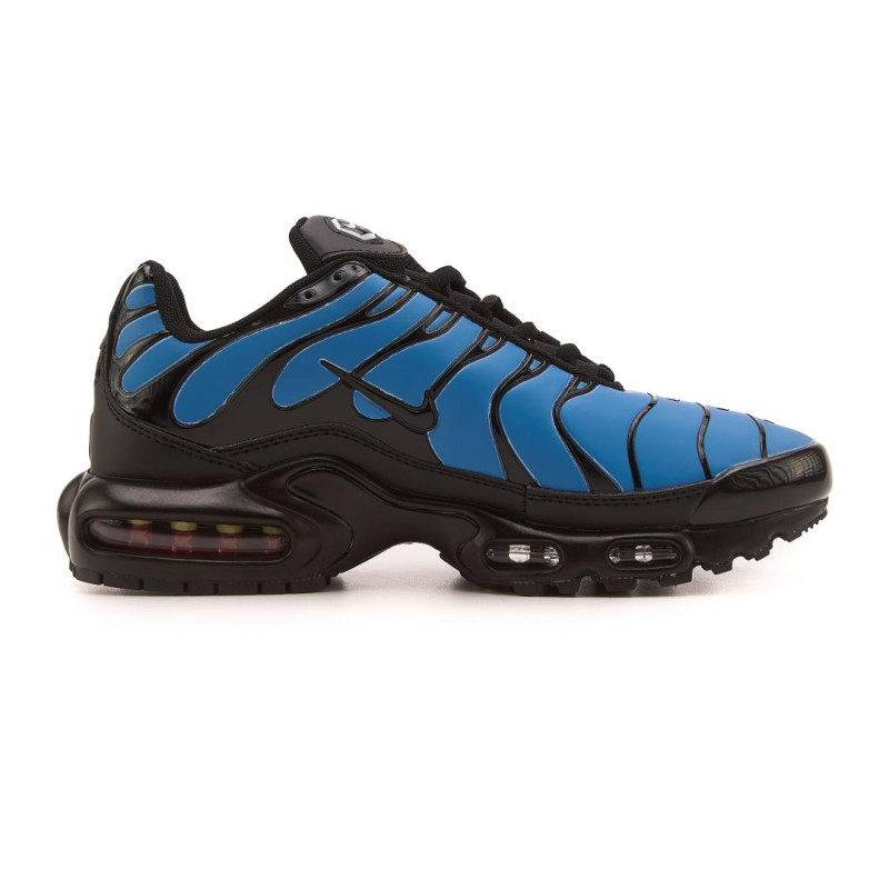 Кросівки Nike Air Max TN Plus Chameleon Blue