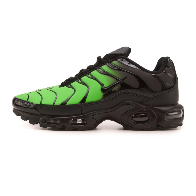 Кросівки Nike Air Max TN Plus Chameleon Green