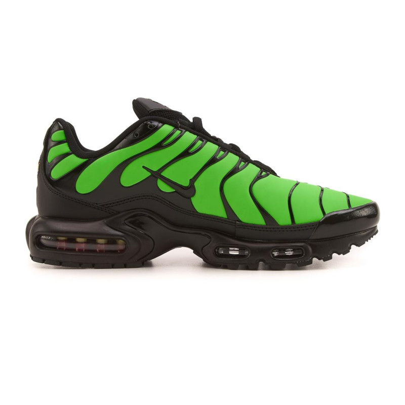 Кросівки Nike Air Max TN Plus Chameleon Green