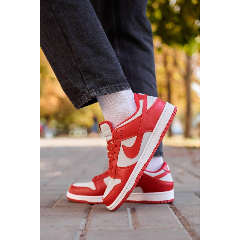 Кросівки Nike SB Dunk Low Retro Medium Grey Red