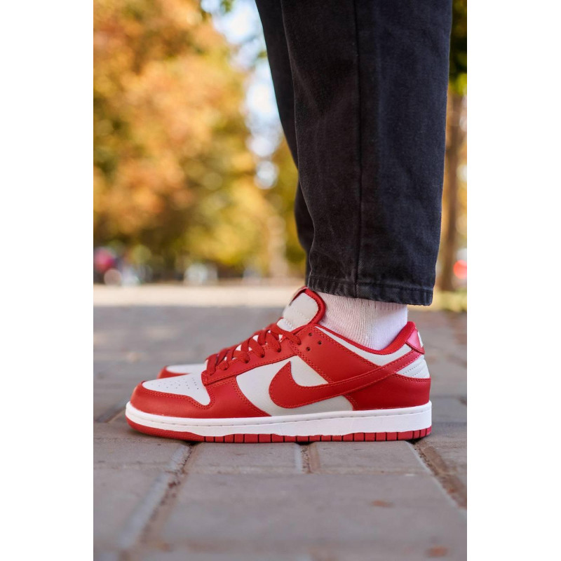 Кросівки Nike SB Dunk Low Retro Medium Grey Red