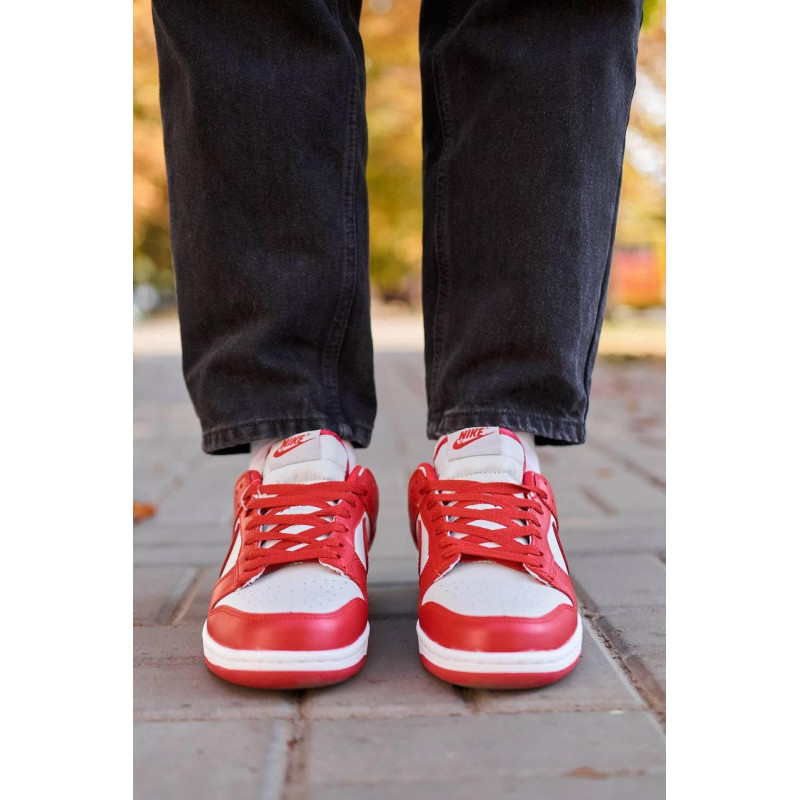 Кросівки Nike SB Dunk Low Retro Medium Grey Red