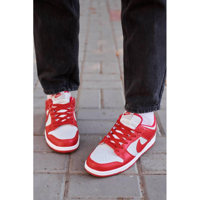Кросівки Nike SB Dunk Low Retro Medium Grey Red