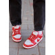 Кросівки Nike SB Dunk Low Retro Medium Grey Red