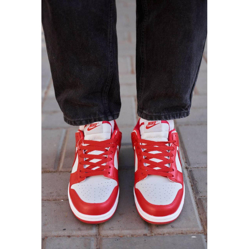 Кросівки Nike SB Dunk Low Retro Medium Grey Red