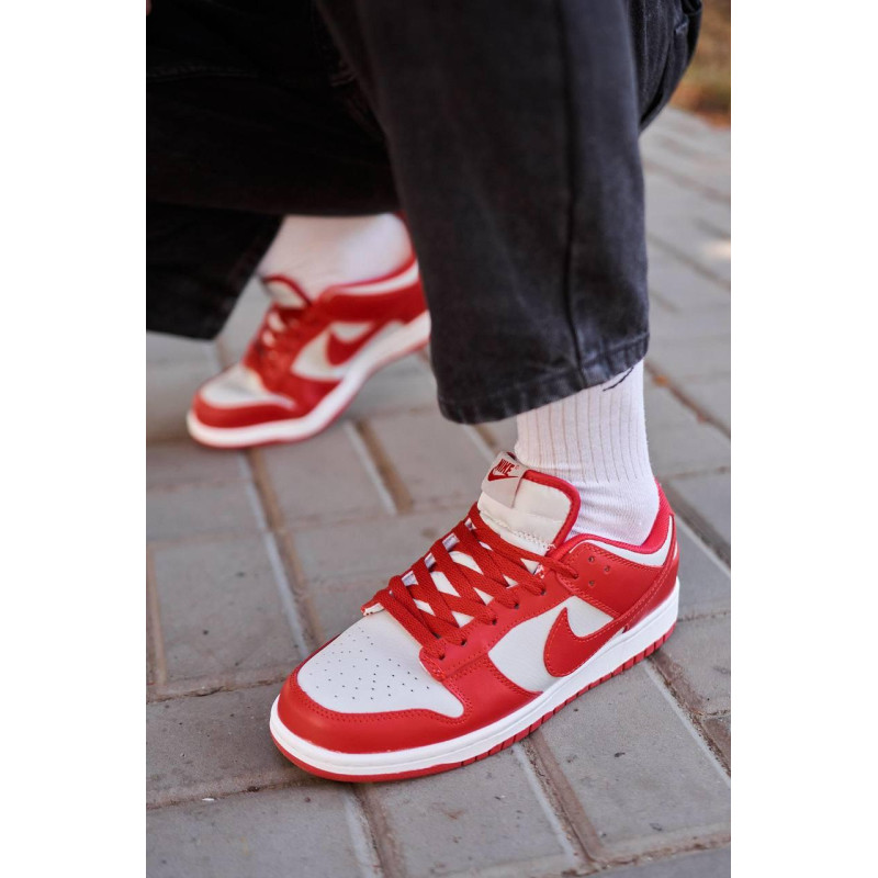 Кросівки Nike SB Dunk Low Retro Medium Grey Red