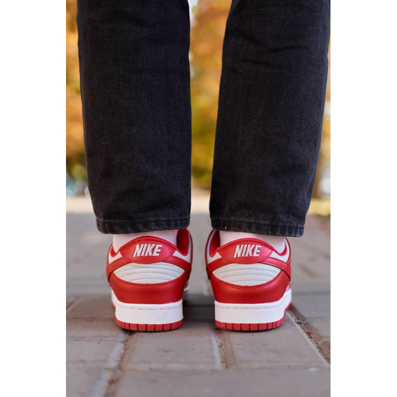 Кросівки Nike SB Dunk Low Retro Medium Grey Red