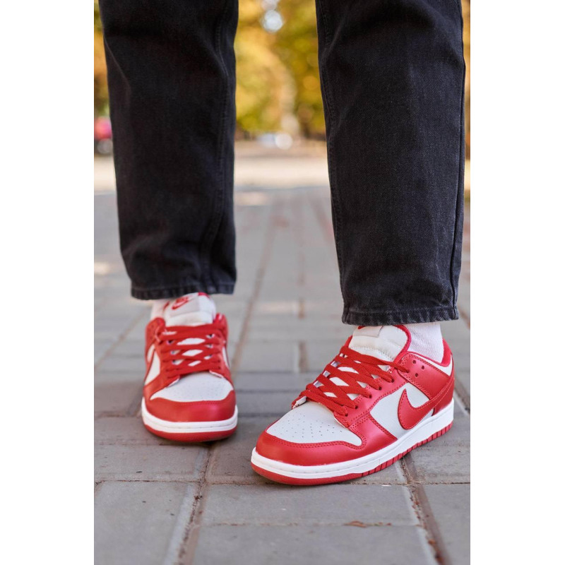 Кросівки Nike SB Dunk Low Retro Medium Grey Red