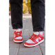 Кросівки Nike SB Dunk Low Retro Medium Grey Red