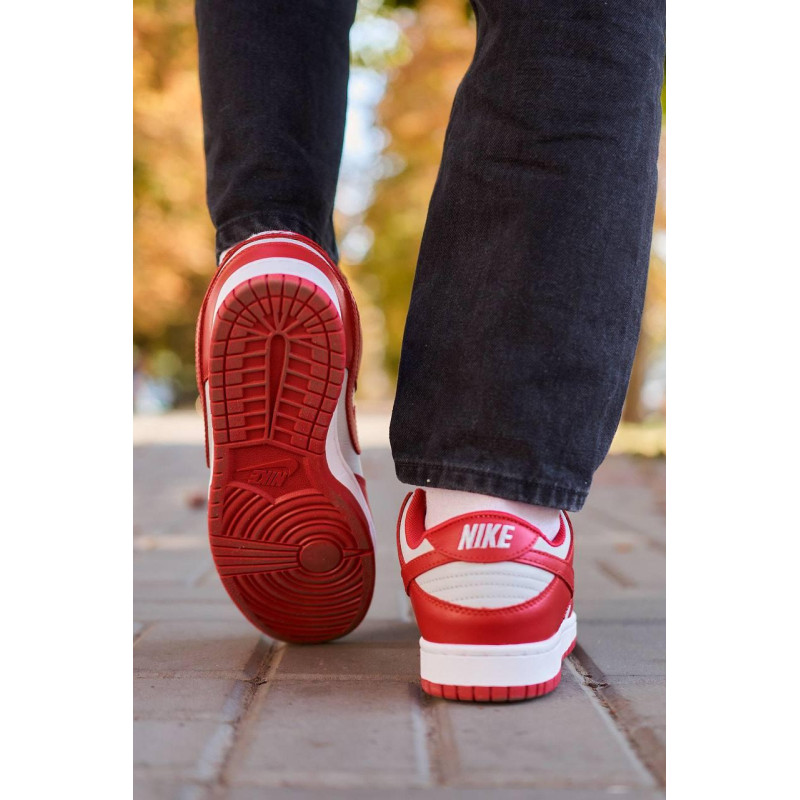 Кросівки Nike SB Dunk Low Retro Medium Grey Red