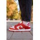 Кросівки Nike SB Dunk Low Retro Medium Grey Red