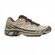 Кросівки Salomon S/LAB XT-6 Brown Beige