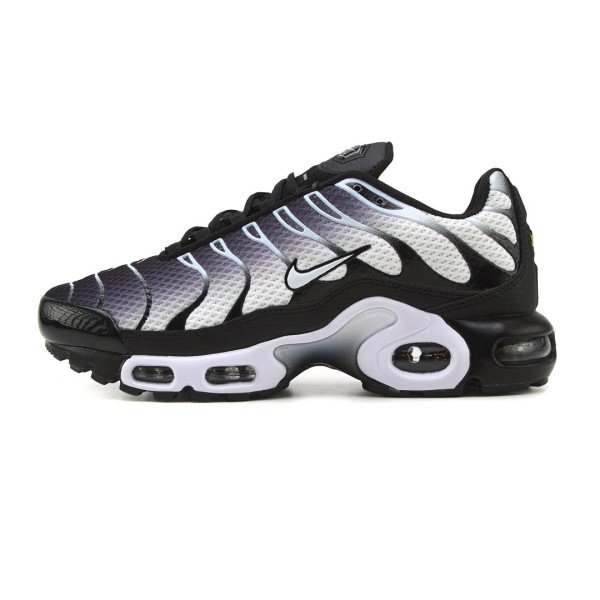 Кросівки Nike Air Max TN Plus Grey V2